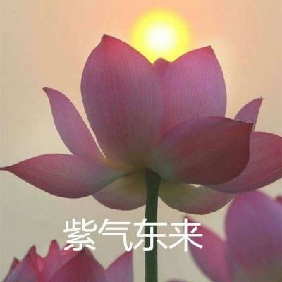 不休江湖游戏下载安装